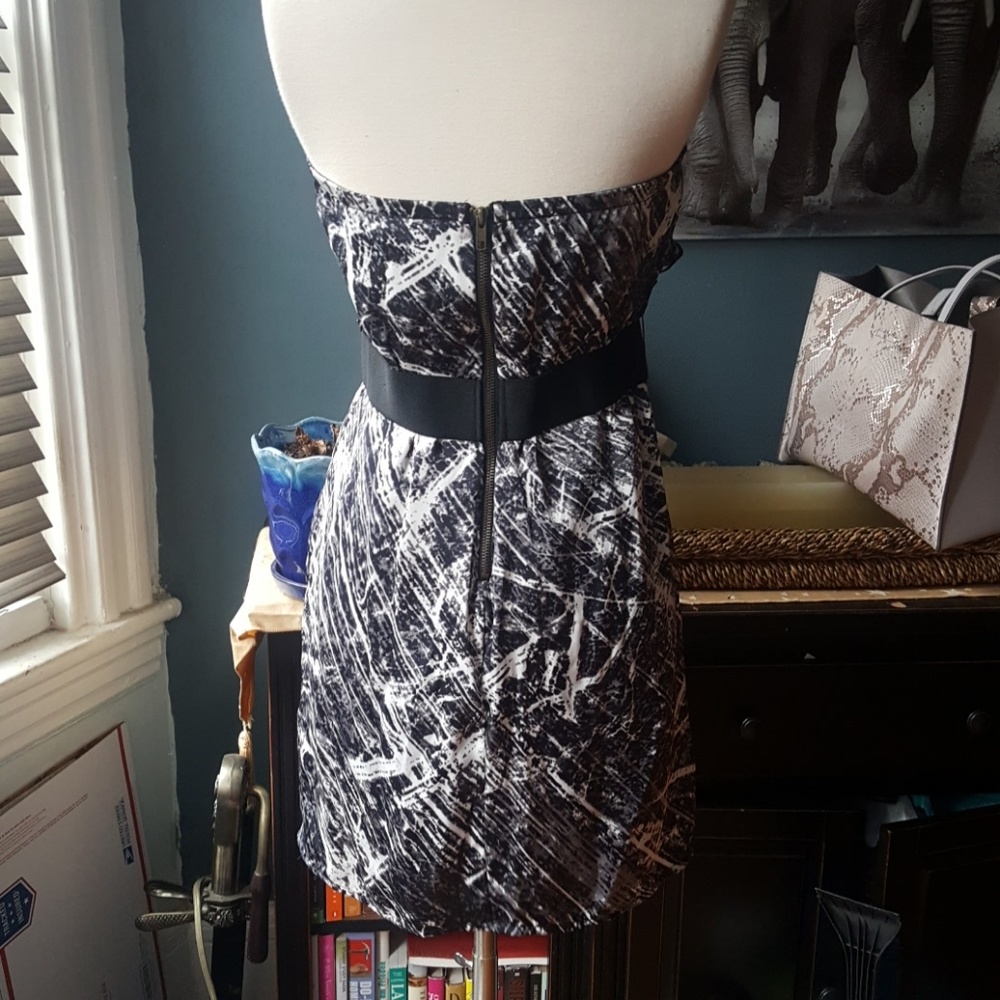 Dress - Picture 2 of 2